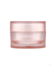 Triple Collagen Cream